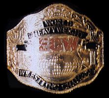 ecwchamp.jpg (13460 octets)